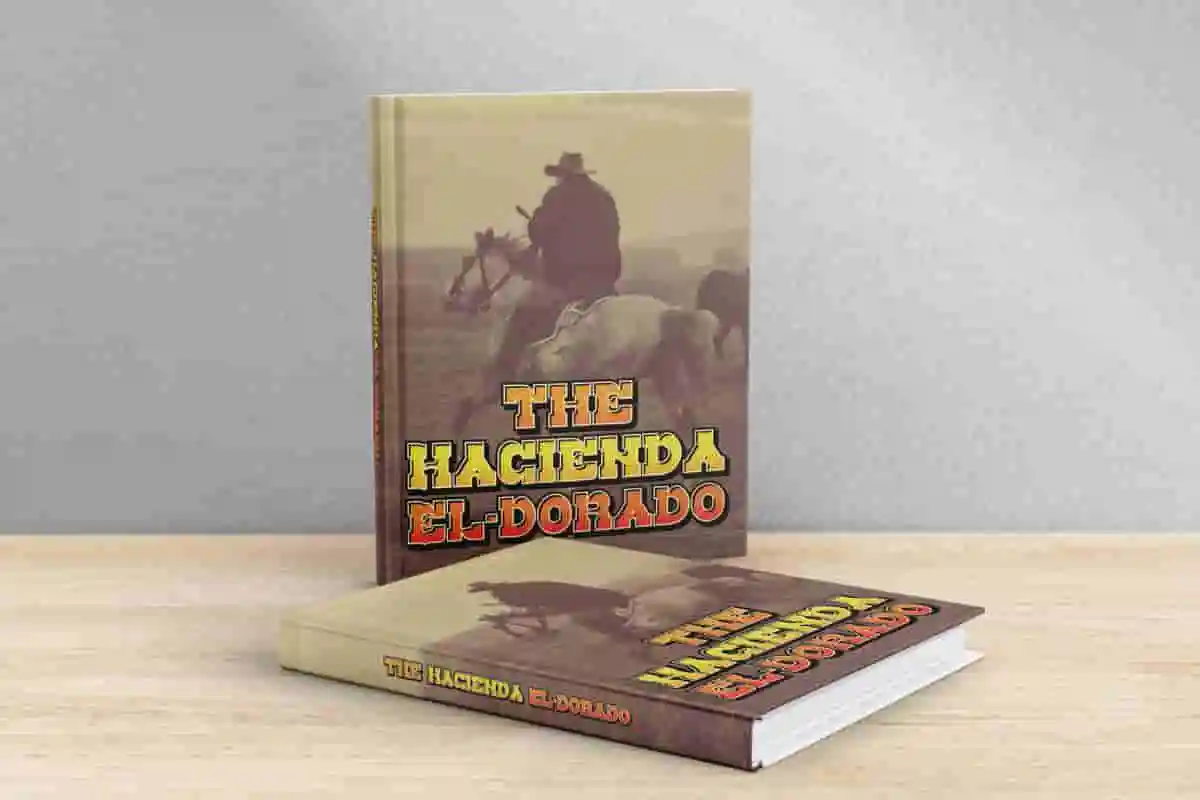 West Texas Display Font - Image 4