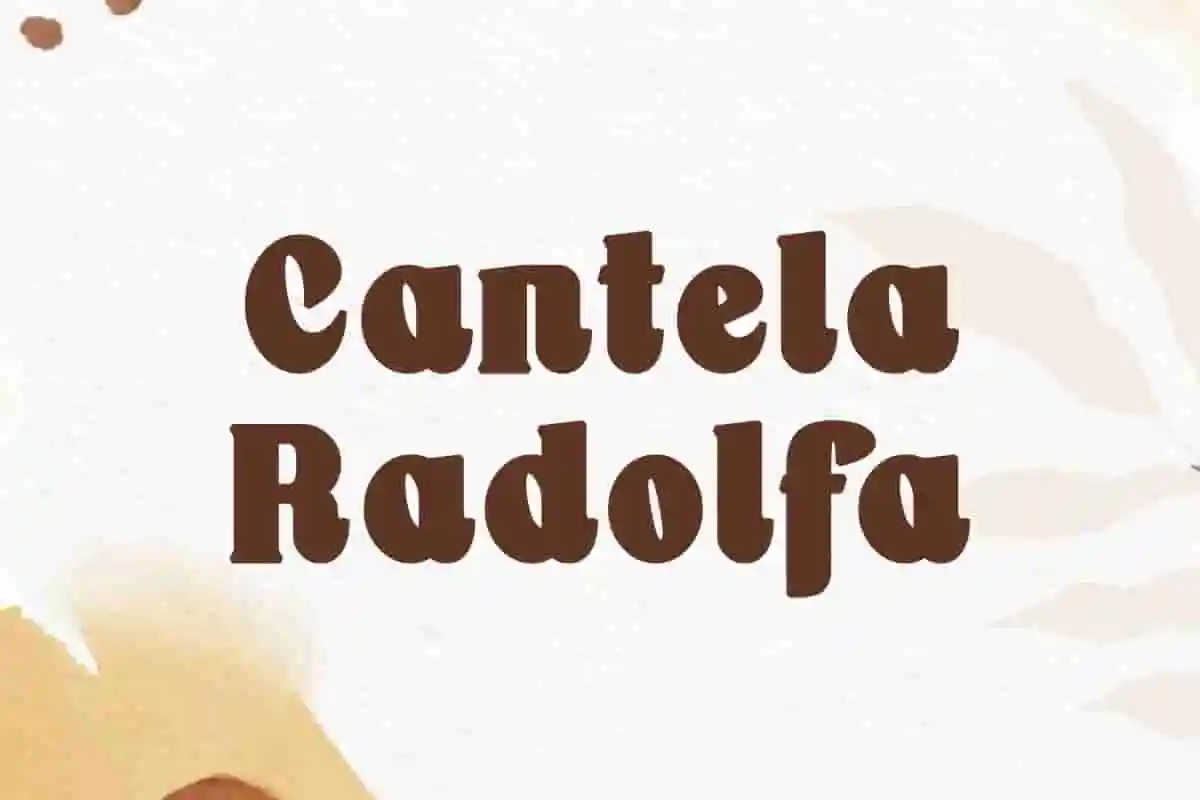 Cantela Radolfa Dynamic Font - Image 2