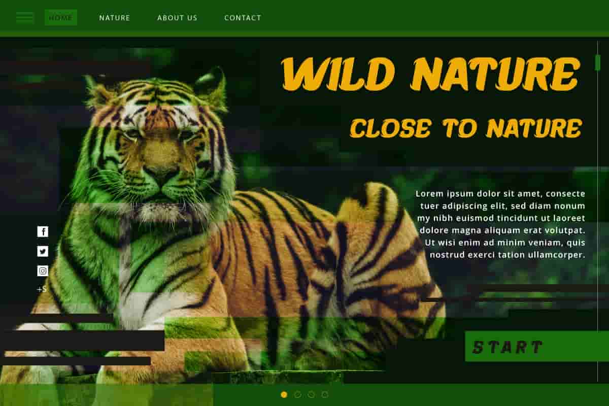Wild Ranger